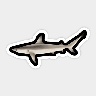 Blacktip reef shark Sticker